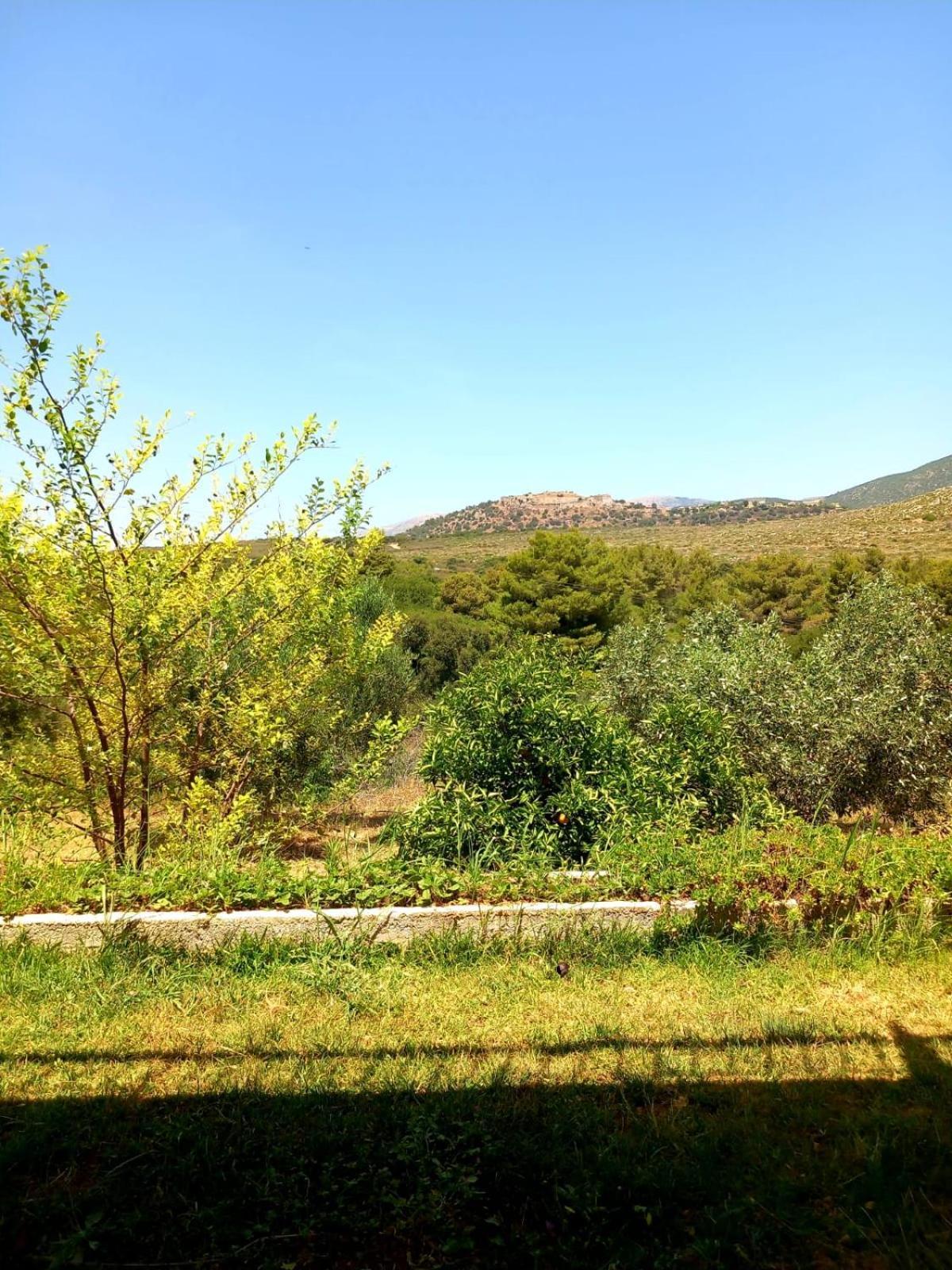 4T Apartments Argostoli  Zewnętrze zdjęcie