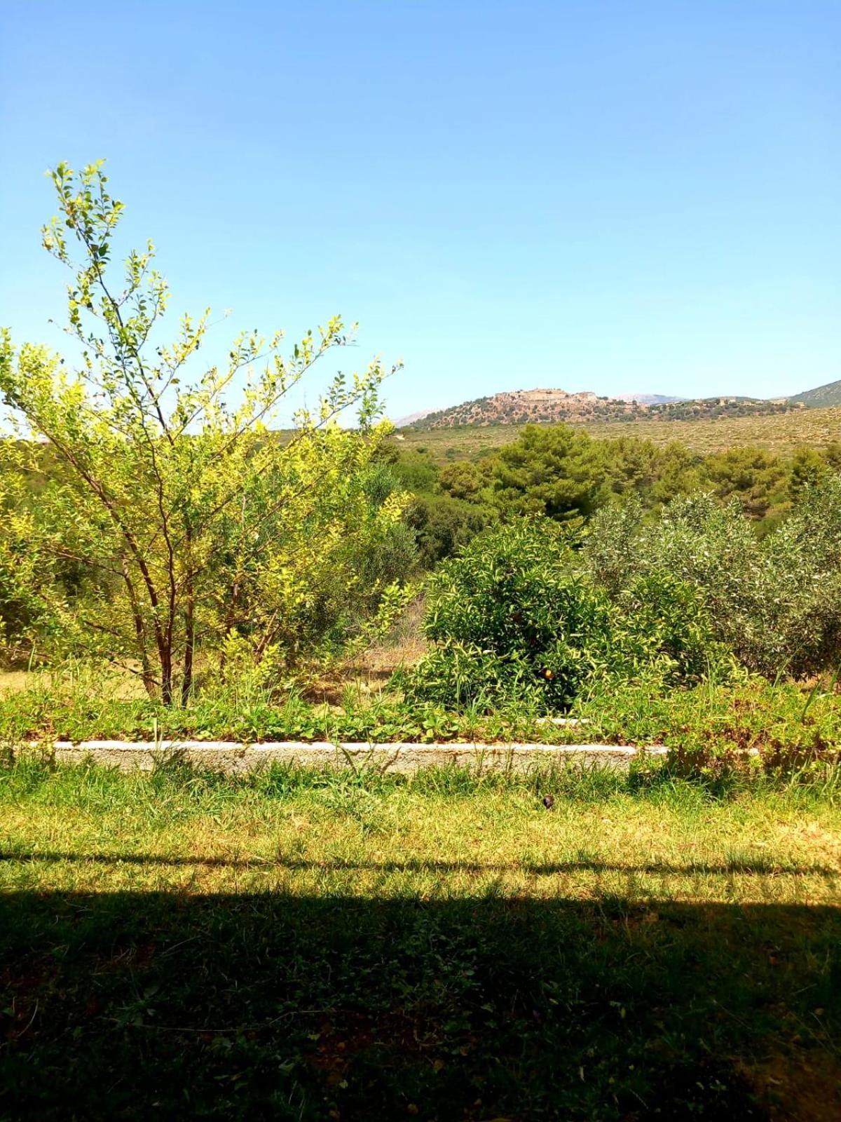 4T Apartments Argostoli  Zewnętrze zdjęcie